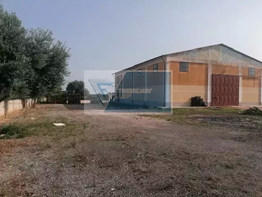 Immagine 3 di Casa bifamiliare in vendita  in Via Elorina a Siracusa