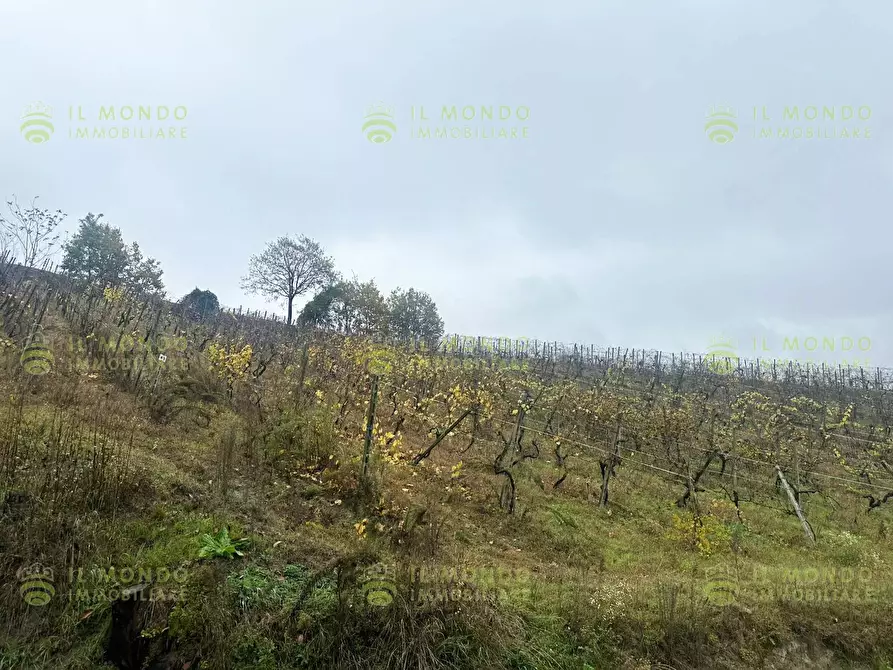 Immagine 20 di Terreno edificabile in vendita  in Località Lago, 15 a Albaredo Arnaboldi