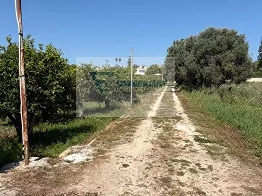 Immagine 39 di Terreno in vendita  in Strada Tremmilia a Siracusa