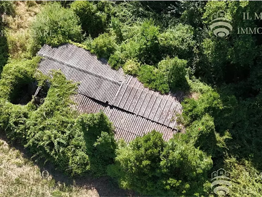 Immagine 10 di Terreno in vendita  in Località Albanetta a Palombara Sabina