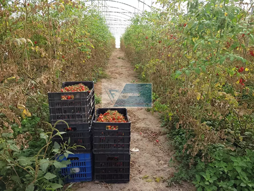 Immagine 12 di Attico in vendita  in CONTRADA GRANELLI a Pachino