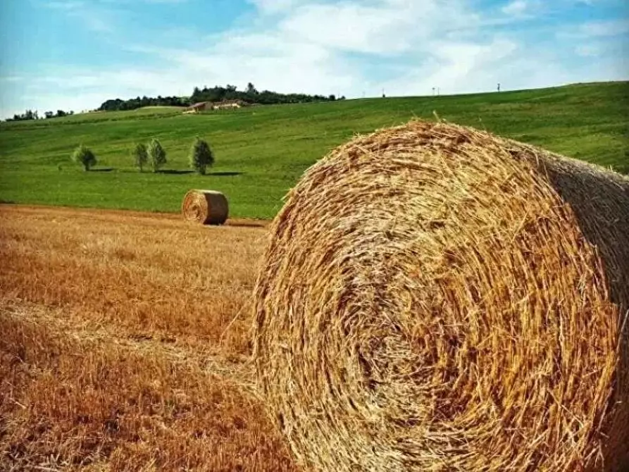 Immagine 4 di Attico in vendita  a Pontestura