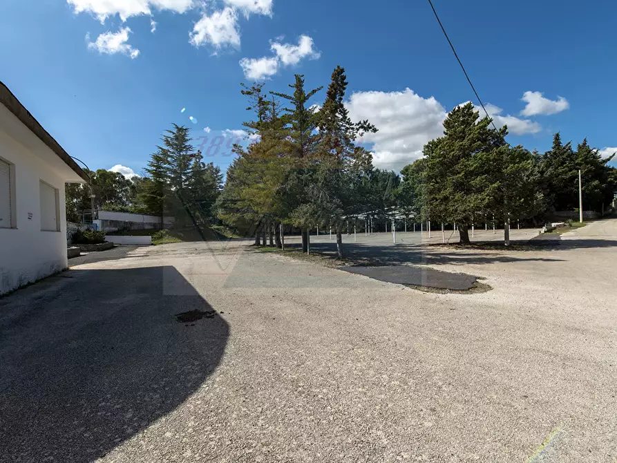 Immagine 21 di Casa trifamiliare in vendita  in Contrada Piano Milo a Noto