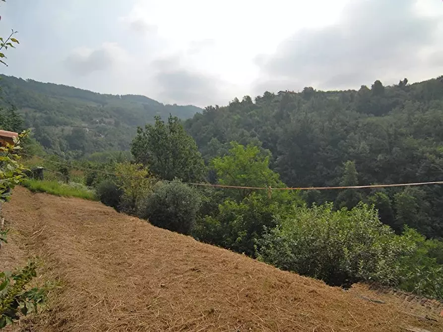Immagine 11 di Terreno edificabile in vendita  a Bergolo