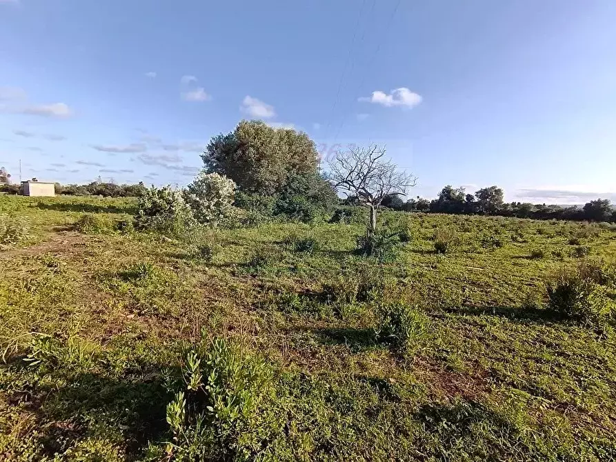 casa indipendente in vendita a Siracusa in zona Borgata