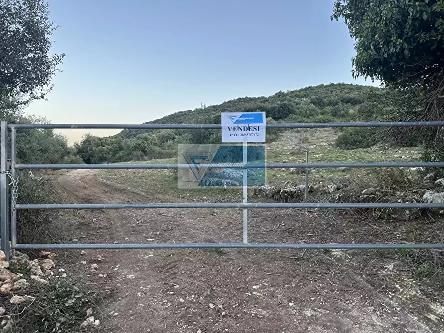 Immagine 10 di Casa trifamiliare in vendita  a Noto