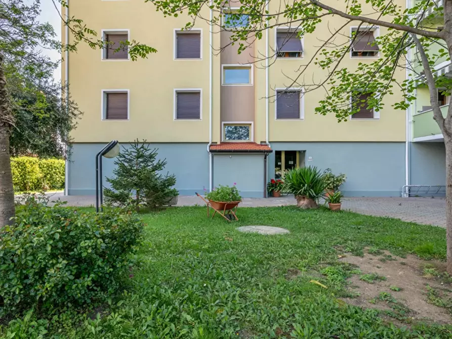 Immagine 21 di Casa trifamiliare in vendita  in Via Spartaco Lavagnini, 6 a Rosignano Marittimo