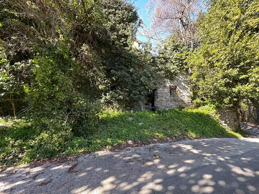 Immagine 4 di Terreno edificabile in vendita  in paggi a Carasco