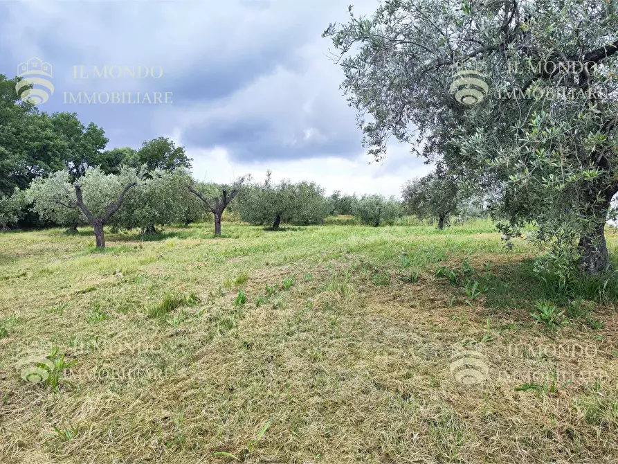 Immagine 12 di Casa bifamiliare in vendita  in Strada di Colle Fagiano a Palombara Sabina