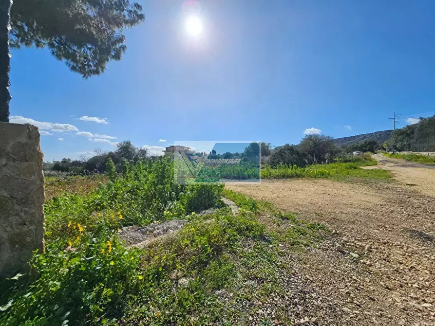 Immagine 4 di Terreno in vendita  a Buccheri