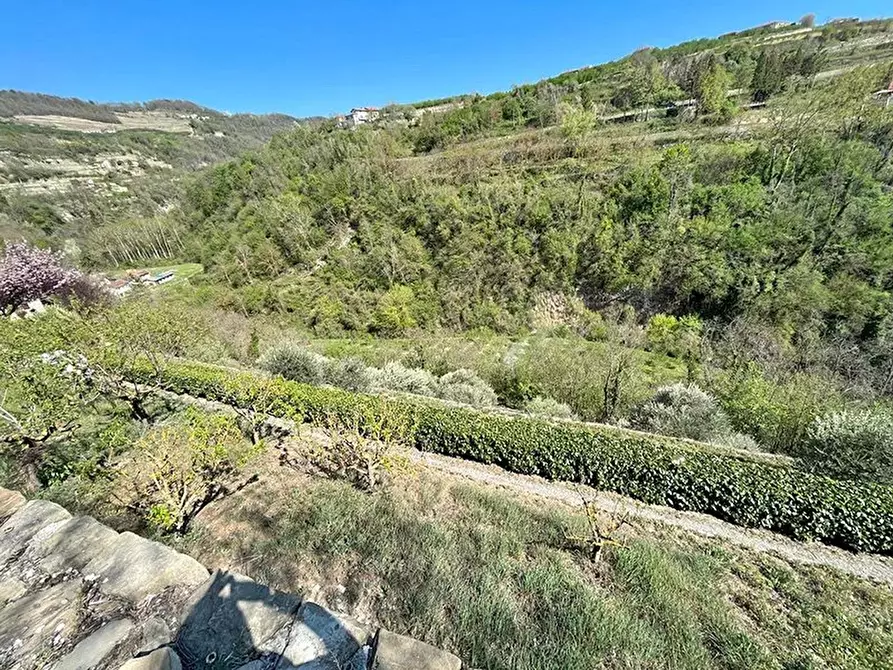 Immagine 24 di Terreno edificabile in vendita  a Bergolo