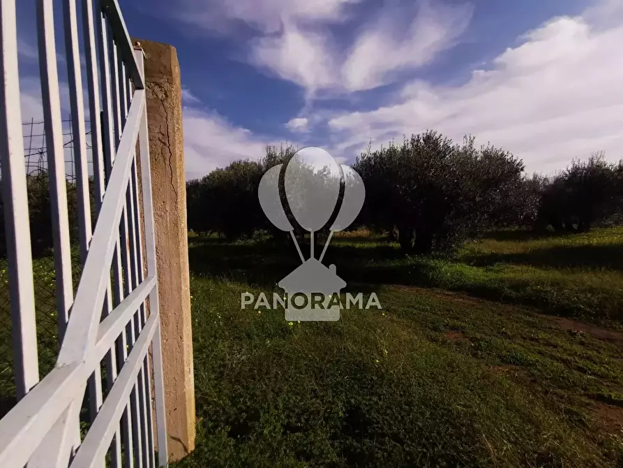 Immagine 6 di Terreno in vendita  in Contrada San Cataldo a Capaci