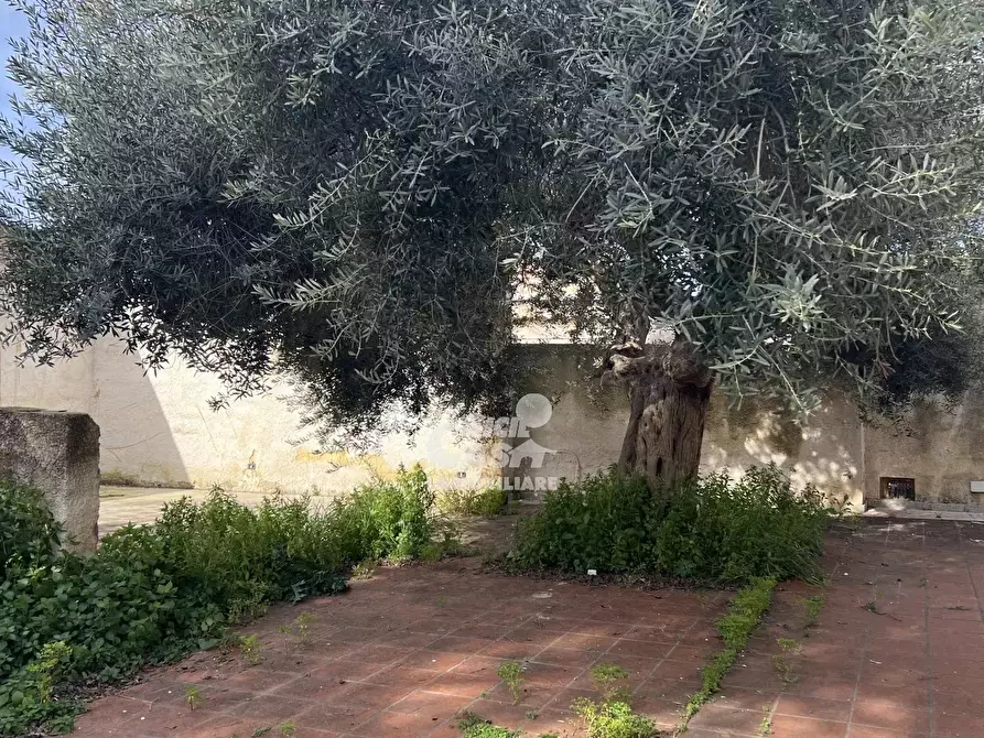 Immagine 36 di Terreno edificabile in vendita  in Contrada Ventrischi a Marsala