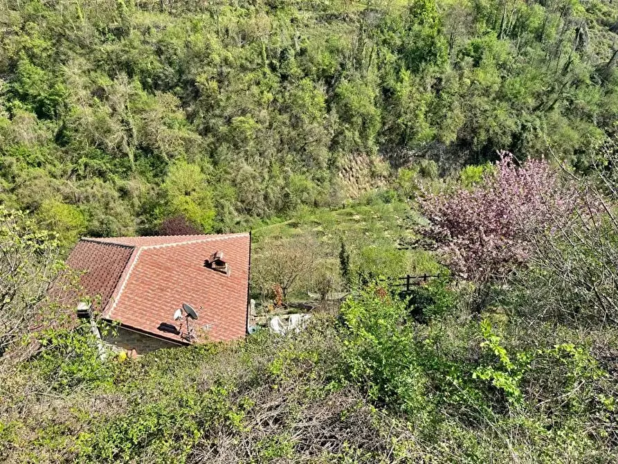 Immagine 25 di Terreno edificabile in vendita  a Bergolo