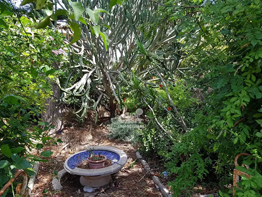 Immagine 32 di Terreno edificabile in vendita  a Marsala