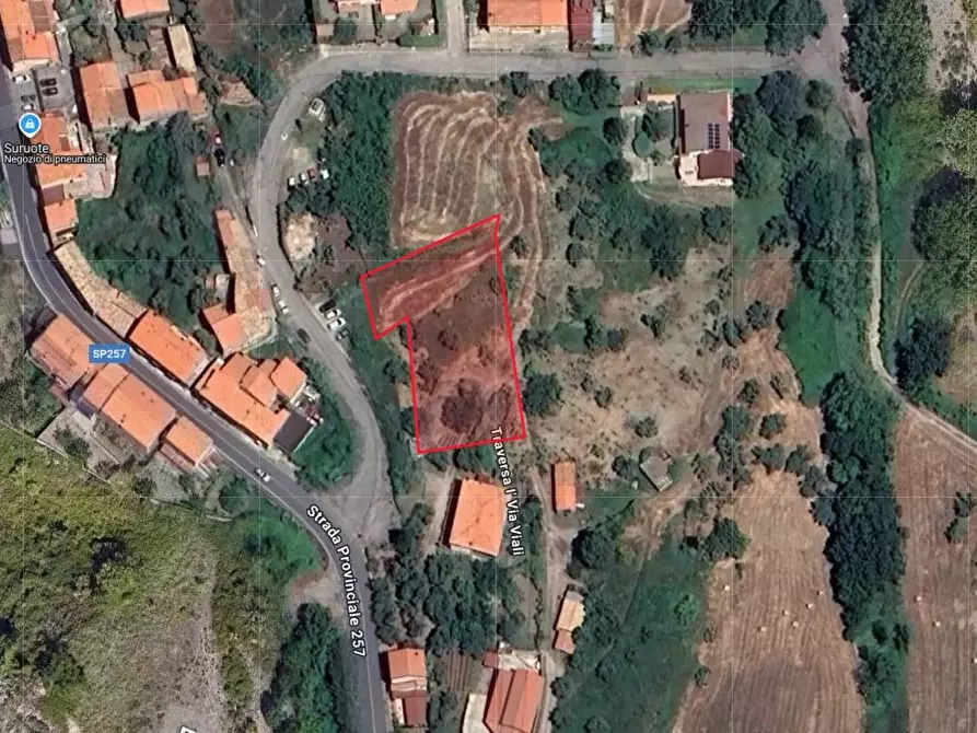 Immagine 3 di Terreno in vendita  a Belsito