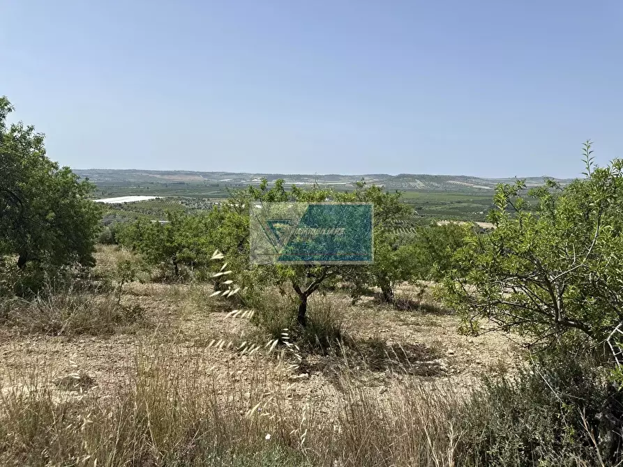 Immagine 9 di Terreno in vendita  a Noto