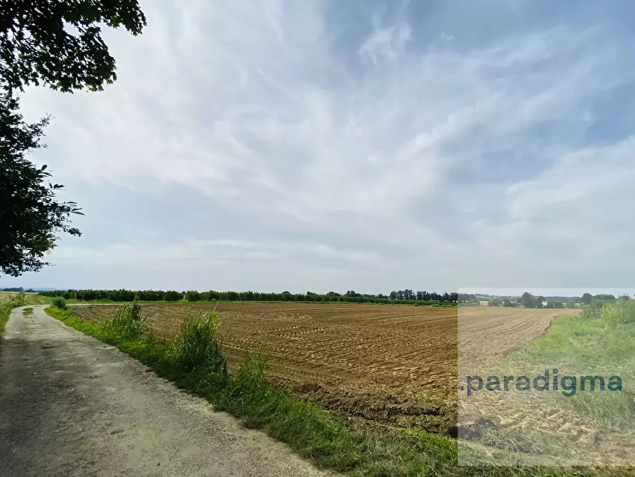 Immagine 5 di Terreno edificabile in vendita  in strada bellona, Valenza a Valenza