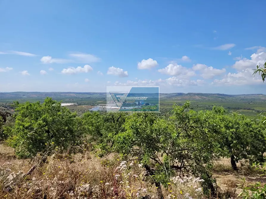 Immagine 7 di Terreno in vendita  a Noto