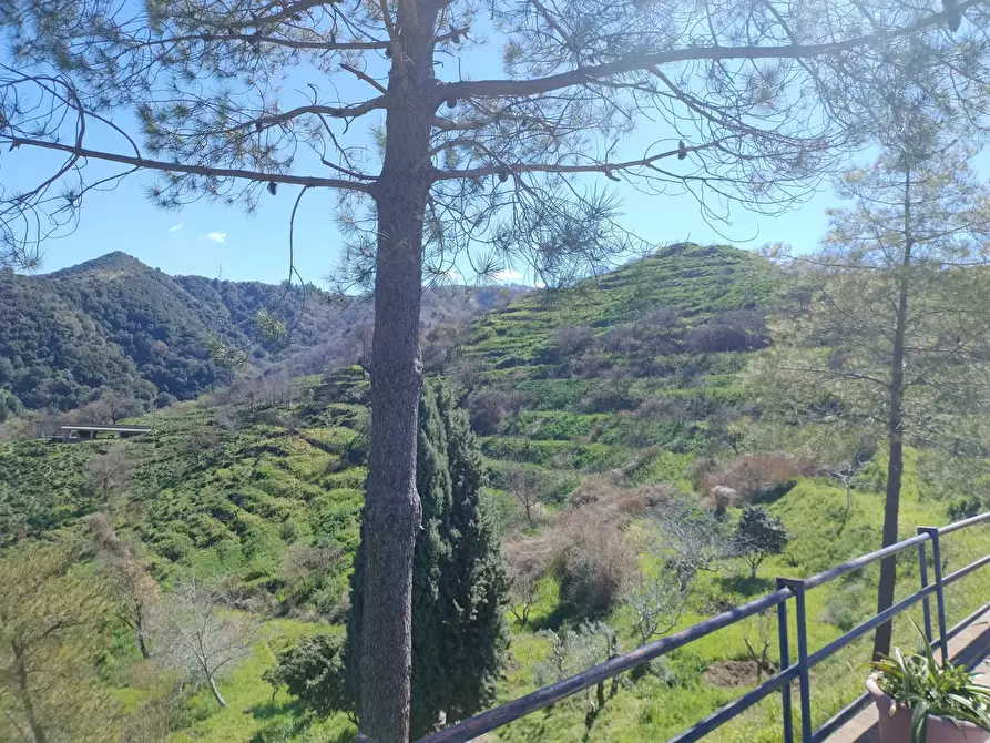 Immagine 25 di Terreno in vendita  in Contrada Bosco, roccavaldina, me a Condrò