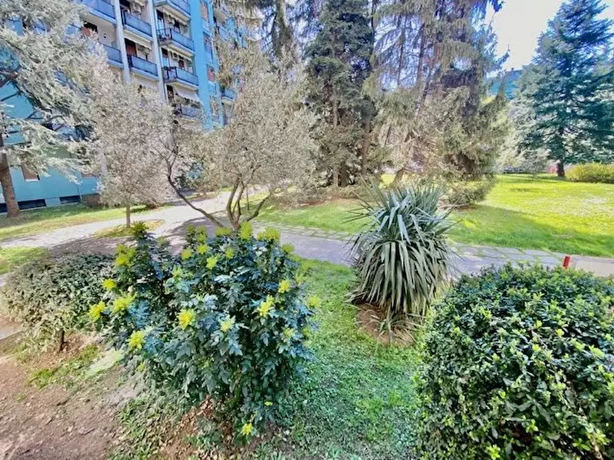 Immagine 7 di Casa trifamiliare in affitto  a Brugherio