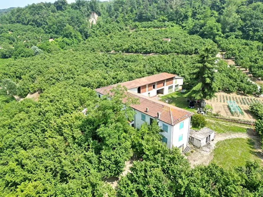 Immagine 3 di Terreno edificabile in vendita  a Albaretto Della Torre