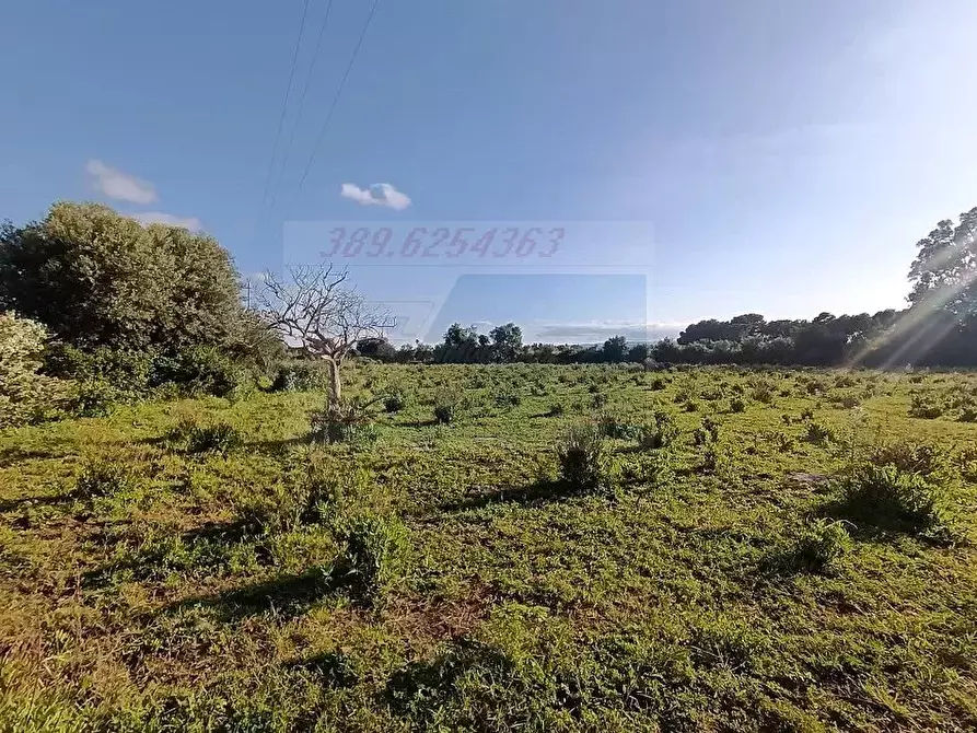 Immagine 2 di Terreno in vendita  in Traversa Masseria Gargallo a Siracusa