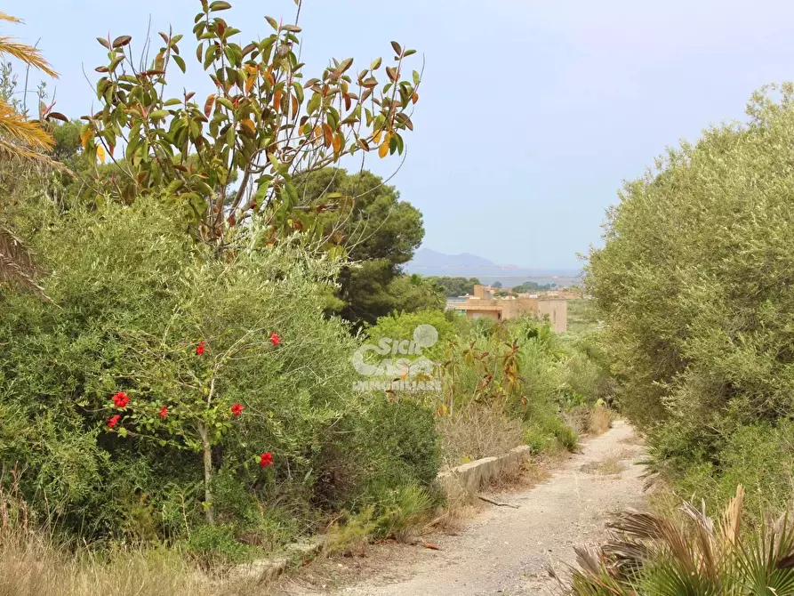 Immagine 7 di Terreno edificabile in vendita  a Marsala