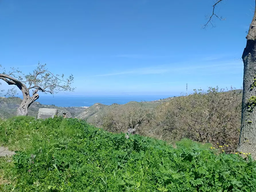 Immagine 7 di Terreno in vendita  in Contrada Bosco, roccavaldina, me a Condrò