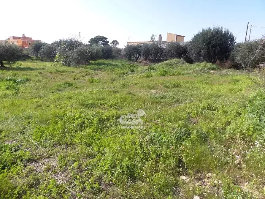 Immagine 7 di Terreno in vendita  a Marsala