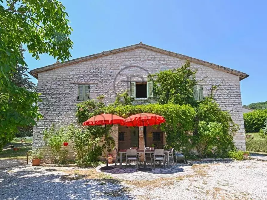 Immagine 23 di Terreno edificabile in vendita  in Cagli a Cagli
