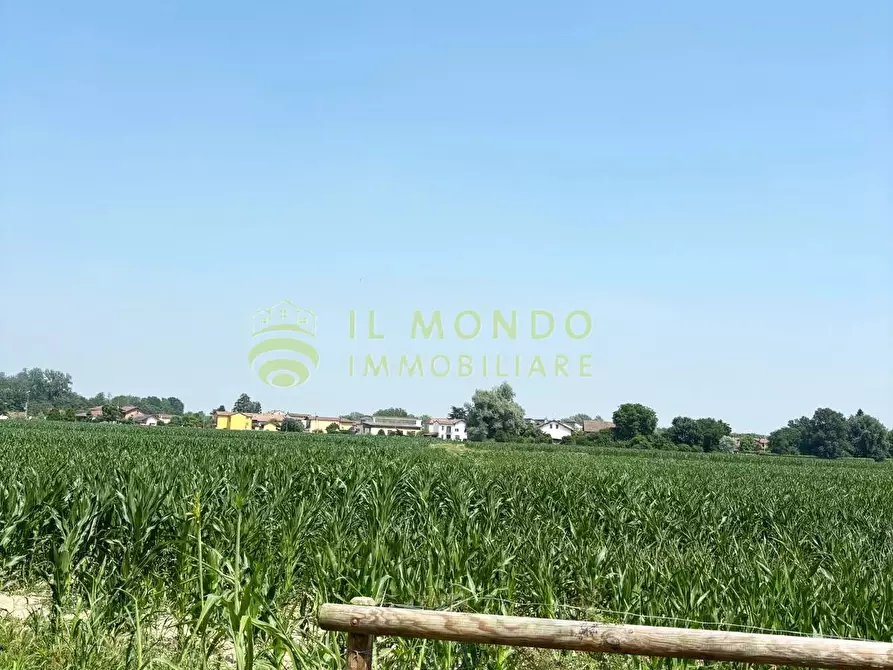 Immagine 15 di Terreno edificabile in vendita  in Via Boschi, snc a Alagna