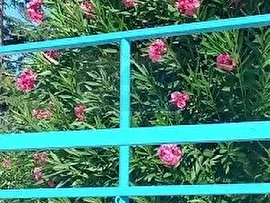 Immagine 16 di Casa trifamiliare in vendita  in Contrada Piano Milo a Noto