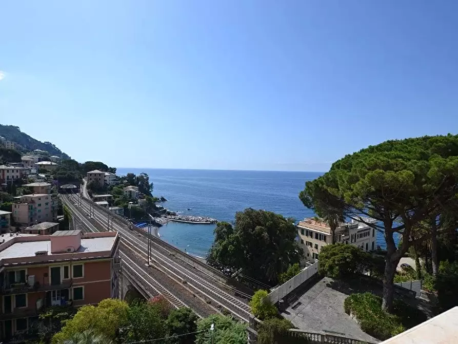 Immagine 26 di Casa trifamiliare in vendita  in Via Duchessa Canevaro a Avegno