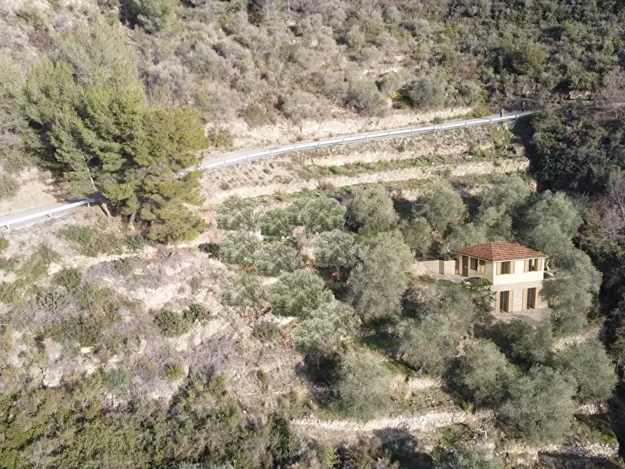 Immagine 1 di Terreno edificabile in vendita  in Frazione Verrandi, 9 a Ventimiglia