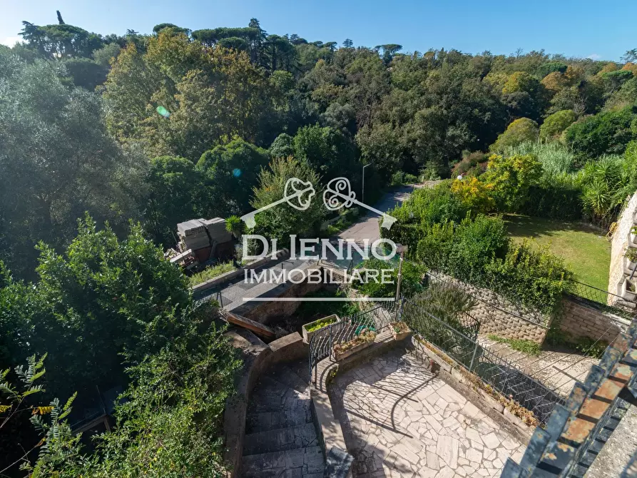 Immagine 23 di Terreno edificabile in vendita  a Canale Monterano