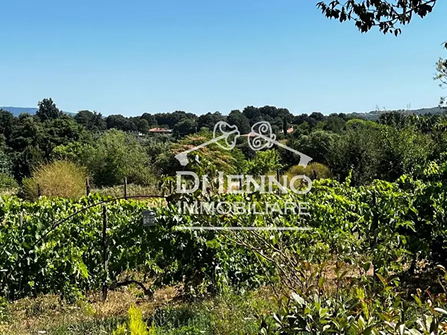 Immagine 42 di Terreno edificabile in vendita  in Strada Valle del Dragone a Arlena Di Castro