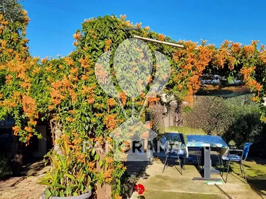 Immagine 4 di Terreno edificabile in vendita  in B&B falconeria a Partinico