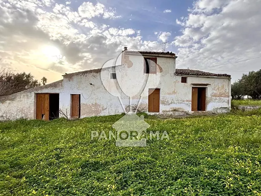 Immagine 11 di Terreno edificabile in vendita  in Contrada Bosco Falconeria SNC, 90047 Partinico PA, Italy a Partinico