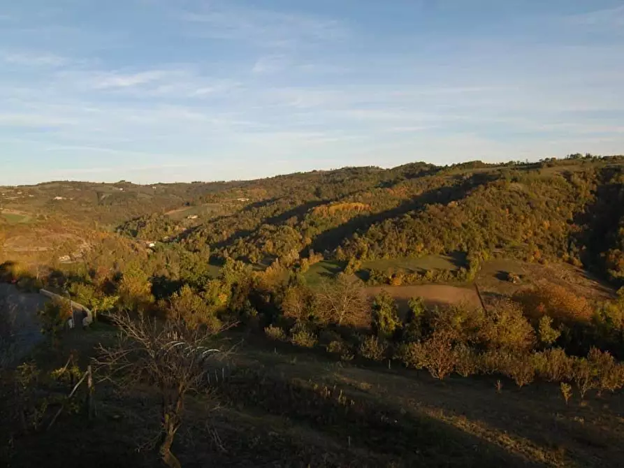 Immagine 15 di Attico in vendita  a Alto