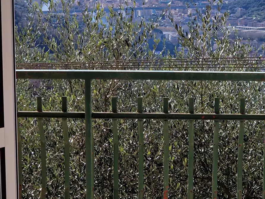 Immagine 78 di Terreno edificabile in vendita  in Via Domenico Canata a Avegno