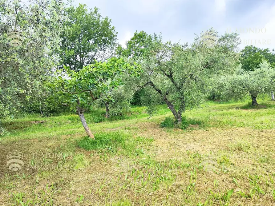 Immagine 23 di Casa bifamiliare in vendita  in Strada di Colle Fagiano a Palombara Sabina