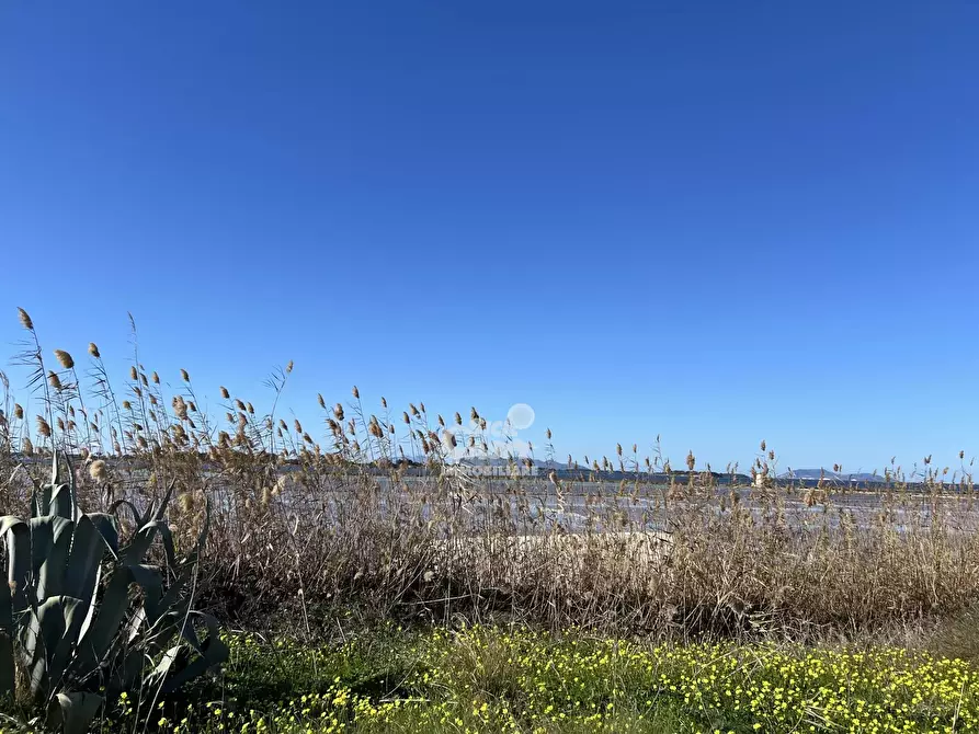 Immagine 17 di Terreno in vendita  a Marsala
