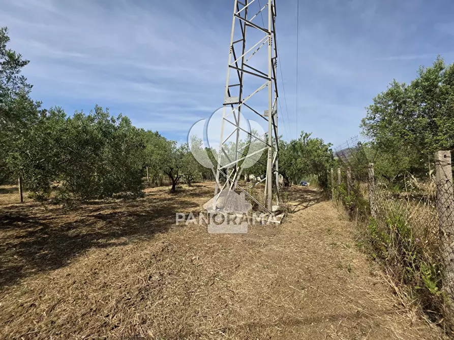 Immagine 3 di Terreno in vendita  in Strada Provinciale 81 a Partinico