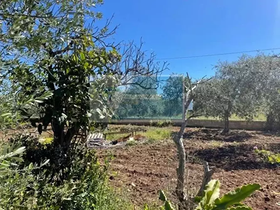 Immagine 2 di Terreno in vendita  in C.da Spalla a Buccheri