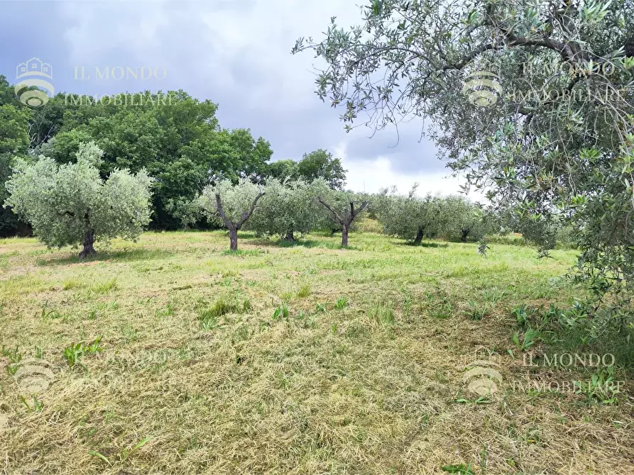 Immagine 7 di Casa bifamiliare in vendita  in Strada di Colle Fagiano a Palombara Sabina