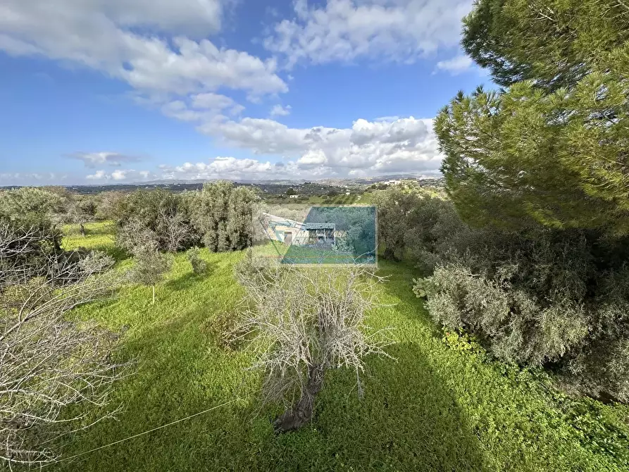 Immagine 19 di Terreno edificabile in vendita  in CONTRADA ASTRACO DI BURLò a Noto