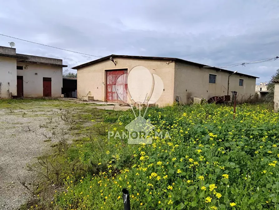 Immagine 3 di Attico in vendita  a Partinico