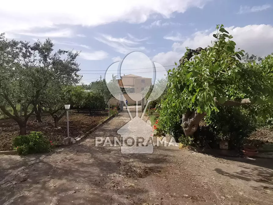 Immagine 8 di Terreno edificabile in vendita  in Agriturismo Margi Soprano - Menù fisso - Grigliata - Aperti Sabato e Domenica a Pranzo a Partinico