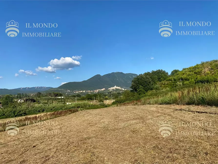 Immagine 1 di Terreno in vendita  in Strada di Colle Pedeschiavo a Palombara Sabina